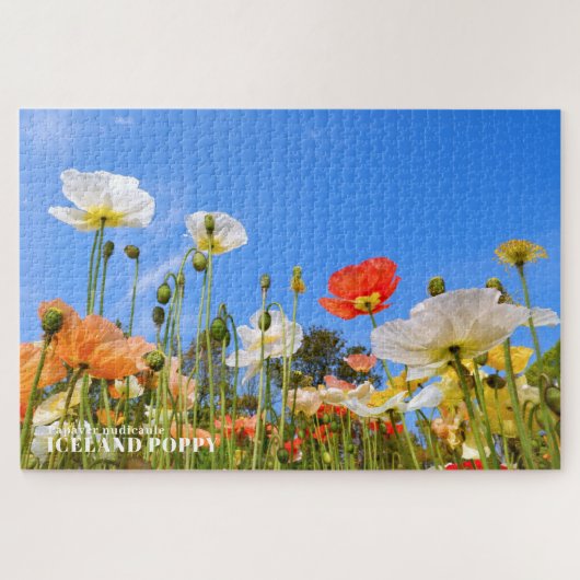 IJslandse papaver Legpuzzel (Horizontaal)