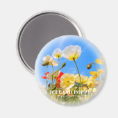 IJslandse papaver Magneet (Voorkant / Achterkant)