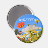 IJslandse papaver Magneet (Voorkant / Achterkant)