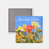 IJslandse papaver Magneet (Voorkant / Achterkant)
