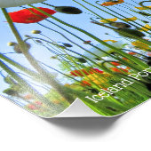 IJslandse papaver [Premium zilver saltpapier] フ ォ  Foto Afdruk (Hoek)