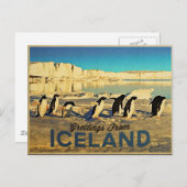 IJslandse pinguïns Briefkaart (Voorkant / Achterkant)