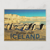 IJslandse pinguïns Briefkaart (Voorkant)