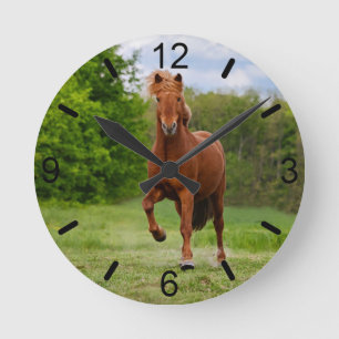 IJslandse Pony bij een Tölt Funny Horse - wijzerpl Ronde Klok