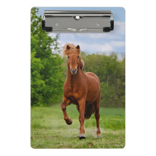 IJslandse Pony bij een Tölt Funny Photo Horse Love Mini Klembord