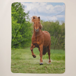 IJslandse Pony bij een Tölt Funny Photo Horse Love Sherpa Deken