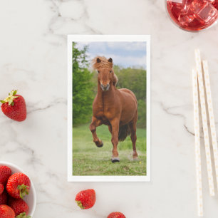 IJslandse Pony loopt Tölt Funny Photo Horse Lover Servet