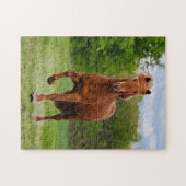 IJslandse Pony loopt Tölt Funny Photo Horse Lovers Legpuzzel (Horizontaal)