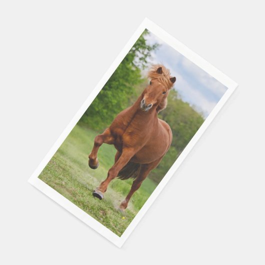 IJslandse Pony loopt Tölt Funny Photo Horse Lovers Servet (Hoek)