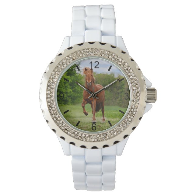 IJslandse Pony Tölt Funny Photo Horse Lovers Horloge (Voorkant)