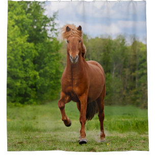 IJslandse Pony Tölt Funny Photo Horse Lovers - Tub Douchegordijn