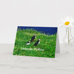 IJslandse Puffins in de zomer Kaart