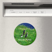IJslandse Puffins in de zomer Magneet (Insitu (Vaatwasser))