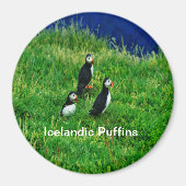 IJslandse Puffins in de zomer Magneet (Voorkant)
