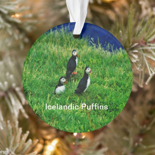 IJslandse Puffins in de zomer Ornament (Boom)