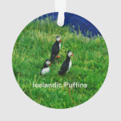 IJslandse Puffins in de zomer Ornament (achterkant)