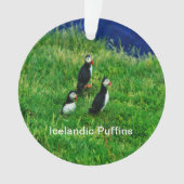 IJslandse Puffins in de zomer Ornament (voorkant)