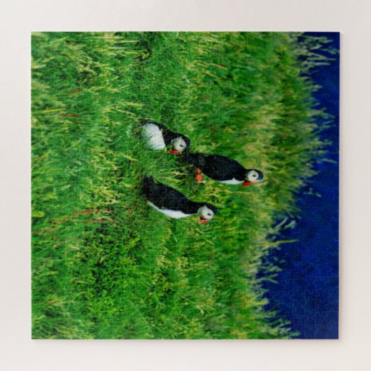 IJslandse Puffins Legpuzzel (Horizontaal)
