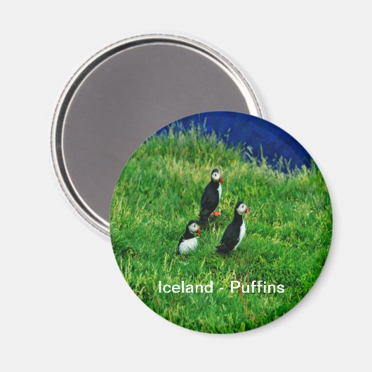 IJslandse Puffins Magneet (Voorkant / Achterkant)
