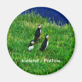 IJslandse Puffins Magneet (Voorkant)