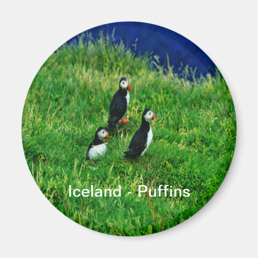 IJslandse Puffins Magneet (Voorkant)