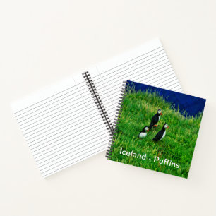 IJslandse Puffins Notitieboek