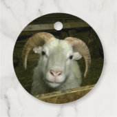IJslandse schapen - Bedankjes Labels (Achterkant)