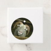 IJslandse schapen - Bedankjes Labels (In situ)
