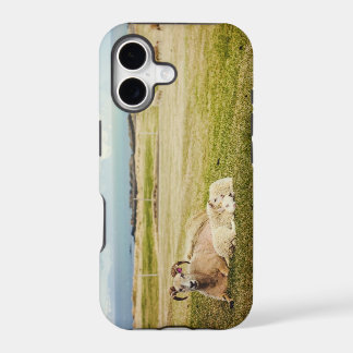 IJslandse schapen iPhone hoesje