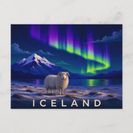 IJslandse schapen onder het noorderlicht | Iconic  Briefkaart