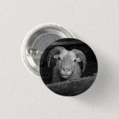 IJslandse schapen Ronde Button 3,2 Cm (Voorkant /achterkant)