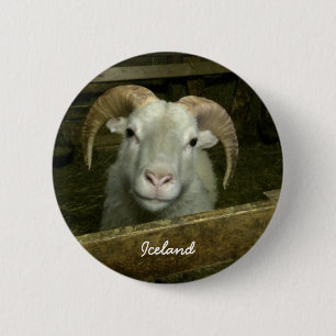 IJslandse schapen Ronde Button 5,7 Cm