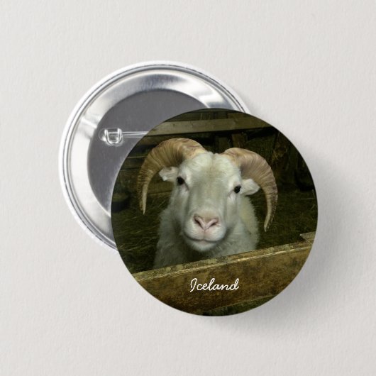 IJslandse schapen Ronde Button 5,7 Cm (Voorkant /achterkant)