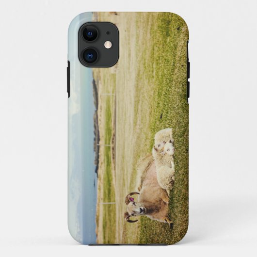 IJslandse schapenhouderij Case-Mate iPhone Case (Achterkant)