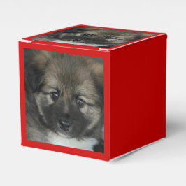 IJslandse Sheepdog 2014-0808 Bedankdoosjes