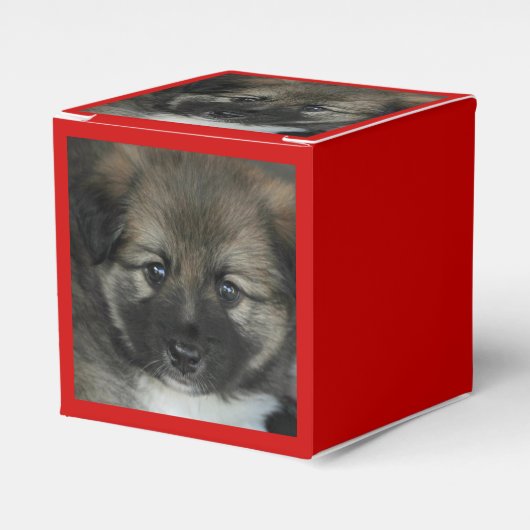 IJslandse Sheepdog 2014-0808 Bedankdoosjes (Voorkant Zijde)