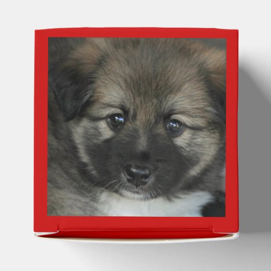 IJslandse Sheepdog 2014-0808 Bedankdoosjes (Bovenkant)