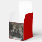 IJslandse Sheepdog 2014-0808 Bedankdoosjes (Geopend)