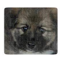 IJslandse Sheepdog 2014-0808