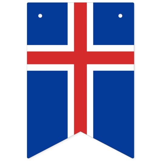 IJslandse vlag en partij IJslandse banners/bruilof Vlaggetjes (Tweede vlag)