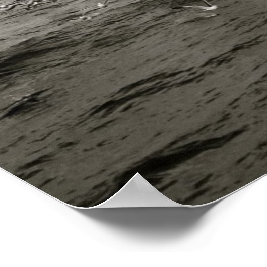 IJslandse vogelkudde Poster (Hoek)