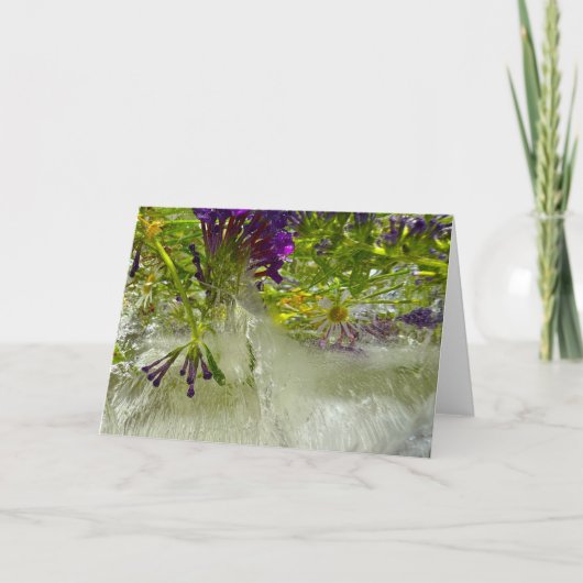 ijslelies, kaart (Voorkant)