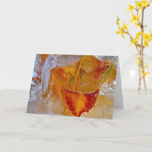 ijslelies, kaart (Gele Bloem)