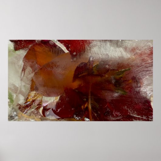 ijslelies, poster (Voorkant)