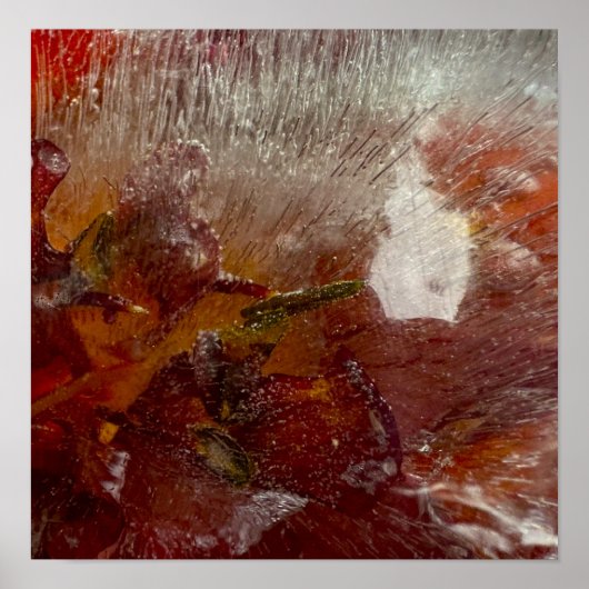 ijslelies, poster (Voorkant)