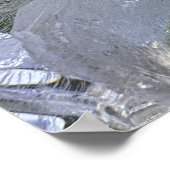 ijslelies, poster (Hoek)