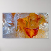 ijslelies, poster (Voorkant)