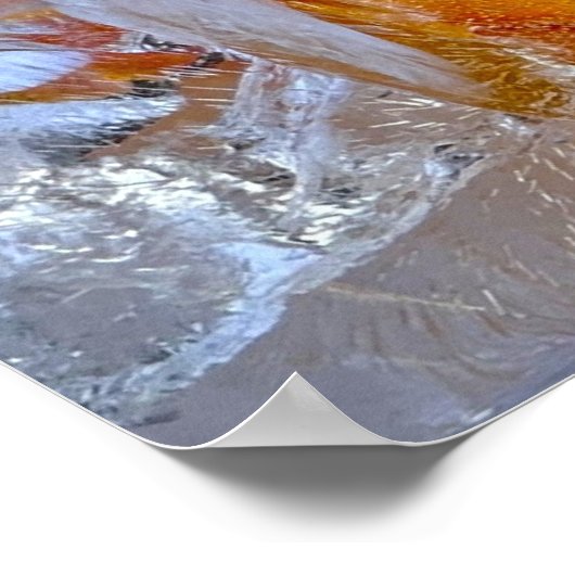 ijslelies, poster (Hoek)