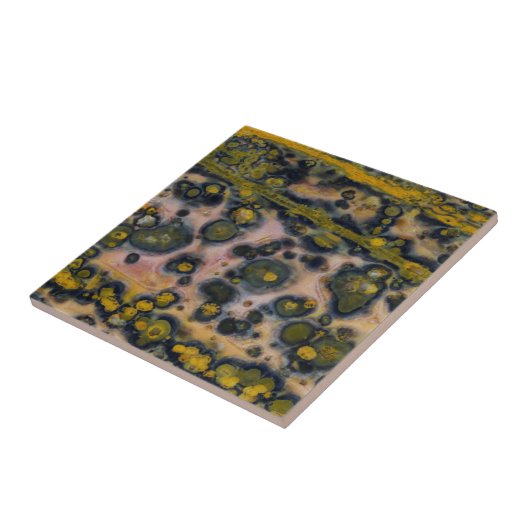 IJsnavel Tegeltje (Zijkant)