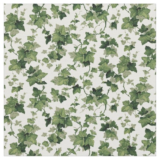  ijspatroon stof (Close Up)